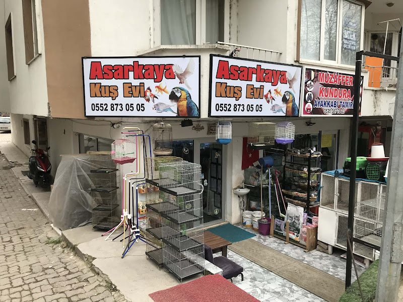 PetPazar PetGroos Evcil Hayvan Ürünleri
