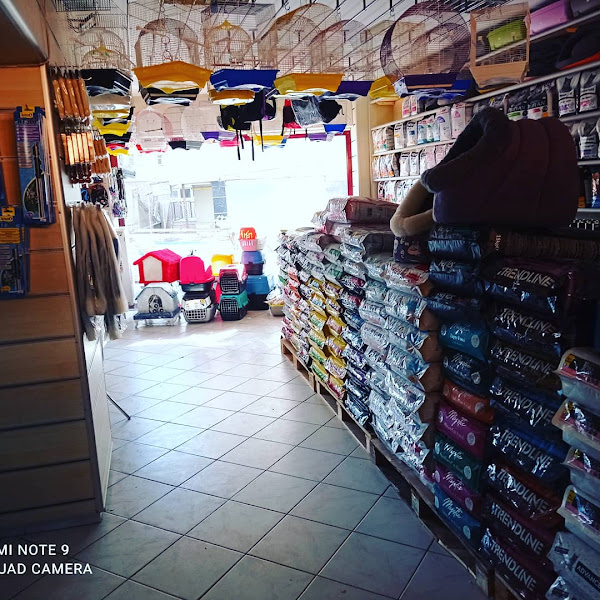 Petshop 18