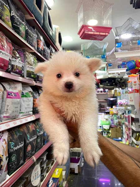 PETSHOP AKVARYUM EVCİL HAYVAN DÜNYASİ İZMİT