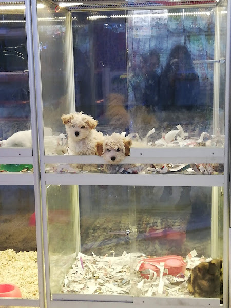 PETXSHOP Akvaryum Evcil Hayvan Ürünleri San. ve Tic. Ltd. Şti.
