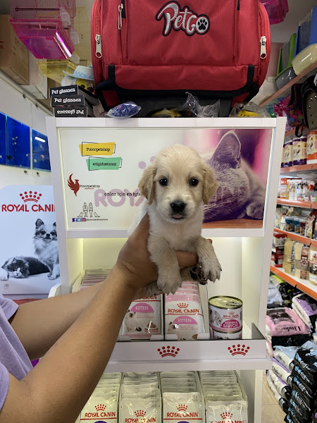 Pınar Petshop