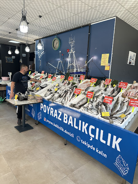Poyraz Balıkçılık