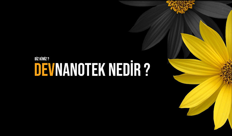 Protek Bilgisayar ve Güvenlik Sistemleri