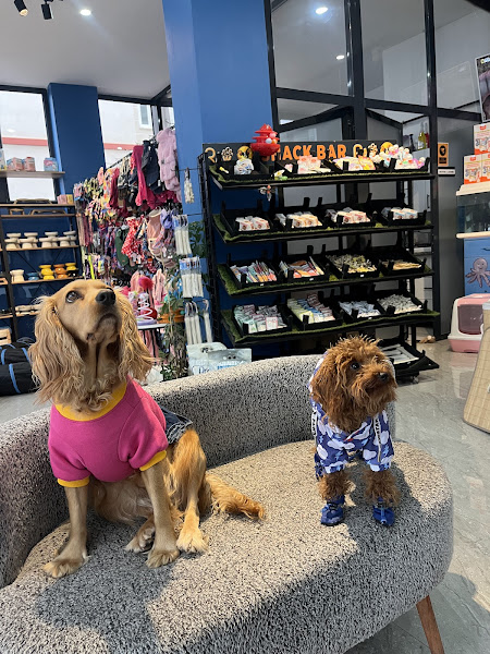 Raw Pet Store Çakmak Şubesi