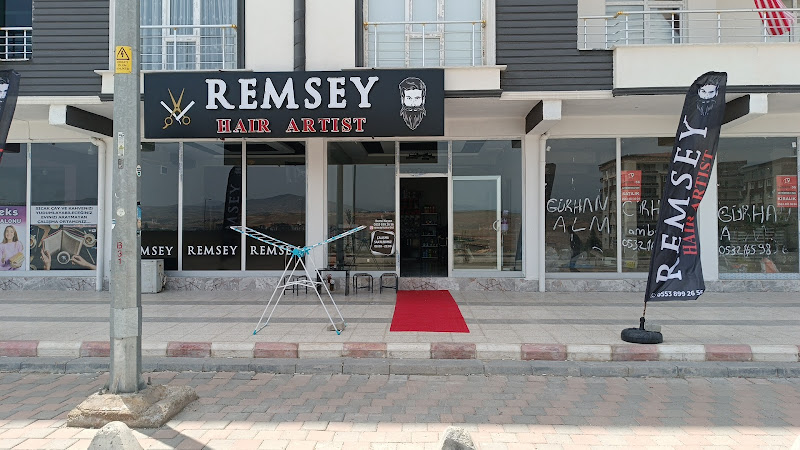REMSEYHAIRARTIS