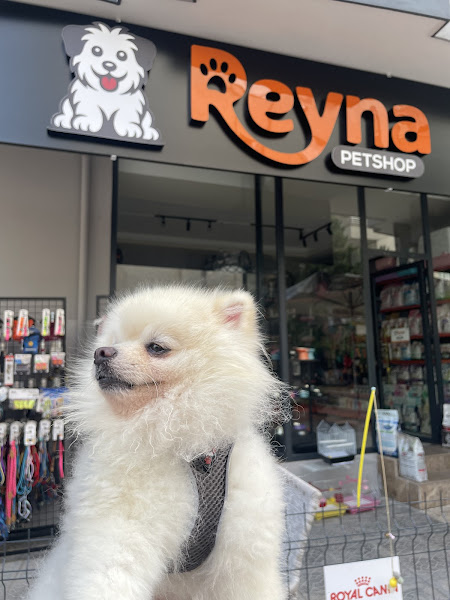 Reyna Pet Shop | Mersin
