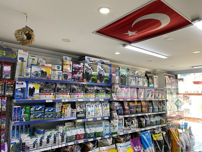 RİZE AVCI PETSHOP