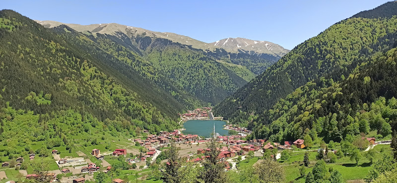 Rize Günübirlik Turlar - Ayala Tour