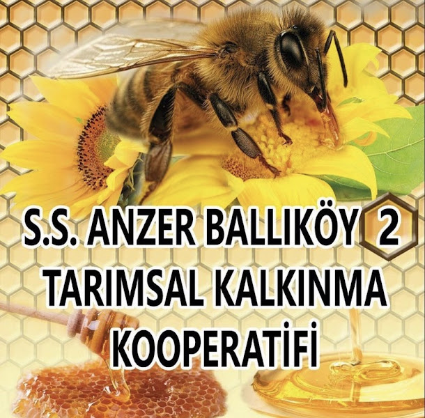 S.S Anzer Ballıköy 2 Nolu Tarımsal Kalkınma Kooperatifi
