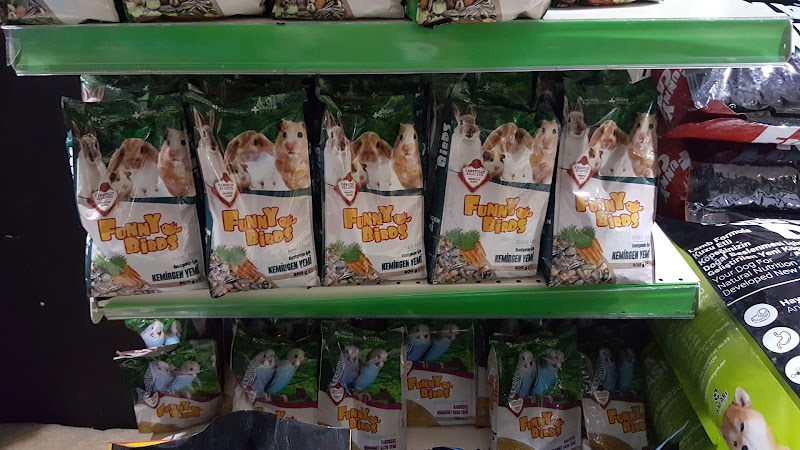 Safari Akvaryum Kongre Toptan &parakende