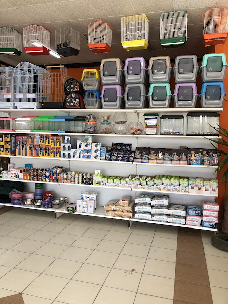 Safari petshop