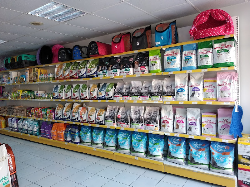 Sahil Petshop