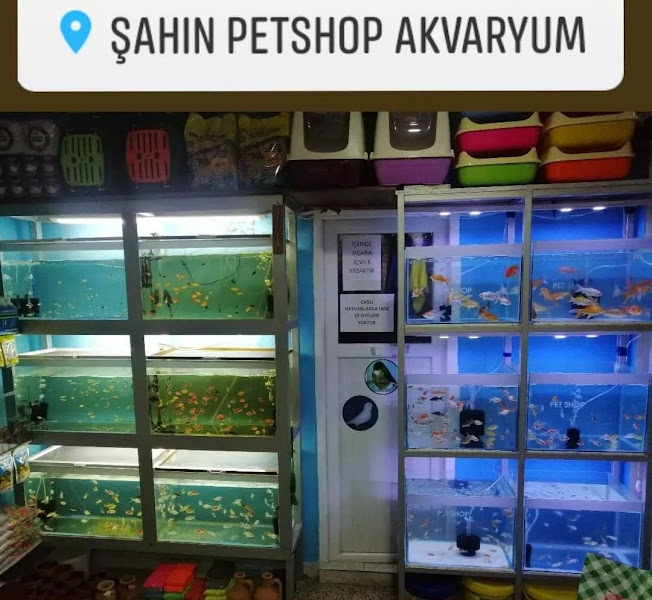 Şahin petshop akvaryum