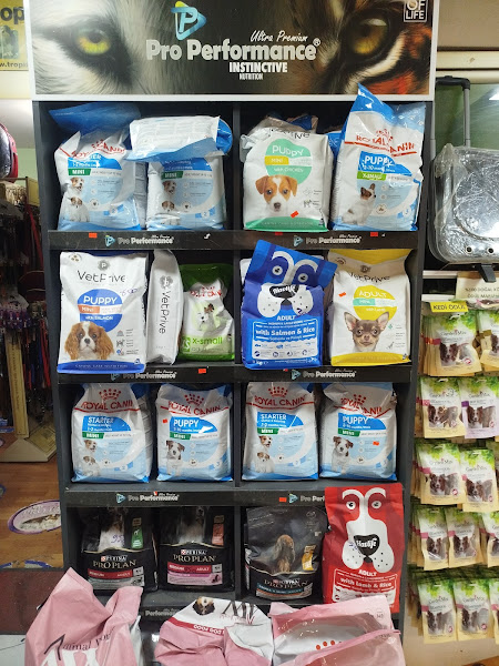 Salih Trabzon Akvaryum Pet Shop Galerisi