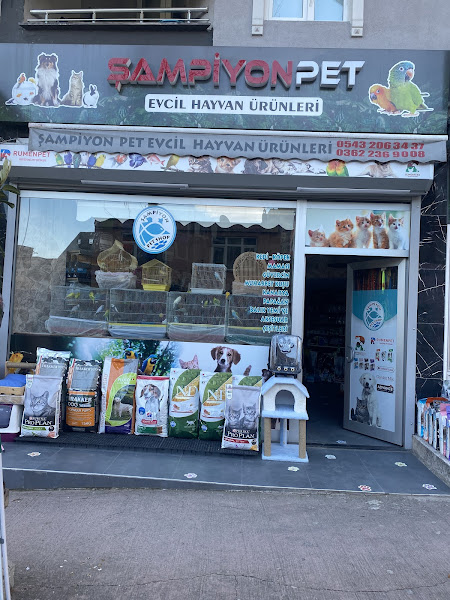 Şampiyon Pet Evcil Hayvan Ürünleri