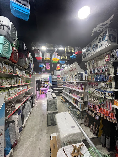 SAMSUN PETSHOP BOTANİK
