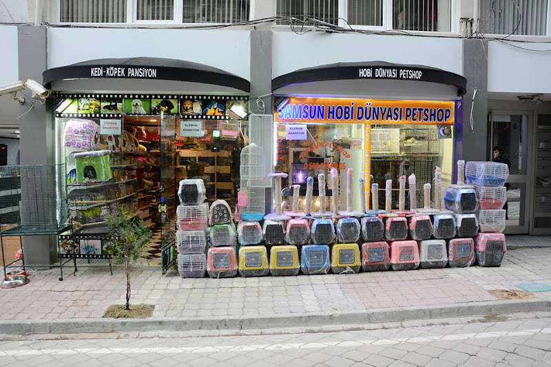 SAMSUN PETSHOP BURAK ŞAHİNKAYA