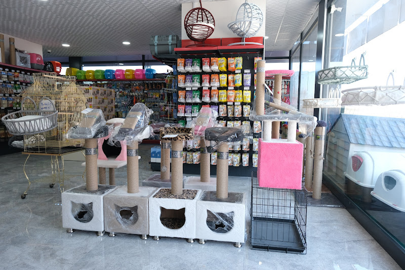Samsun Petshop ExpressMama