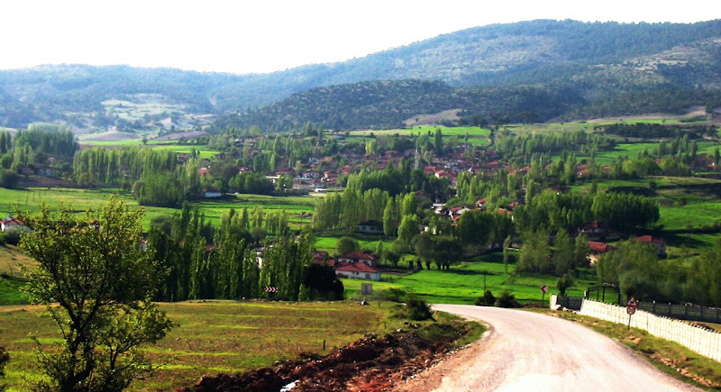 Saraycık Köyü Balı
