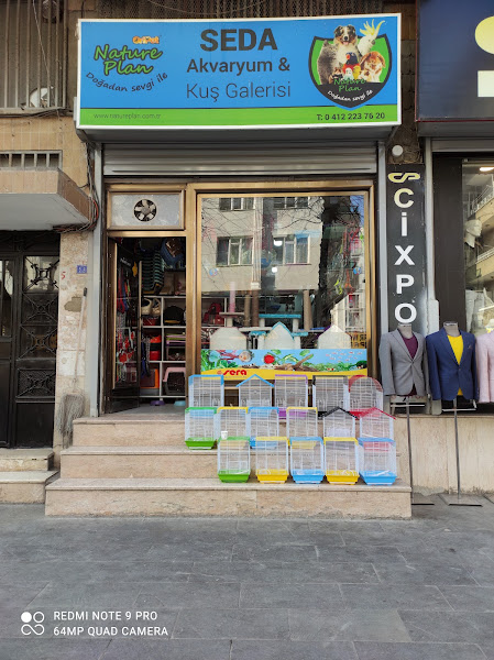 Seda Akvaryum & Pet Shop