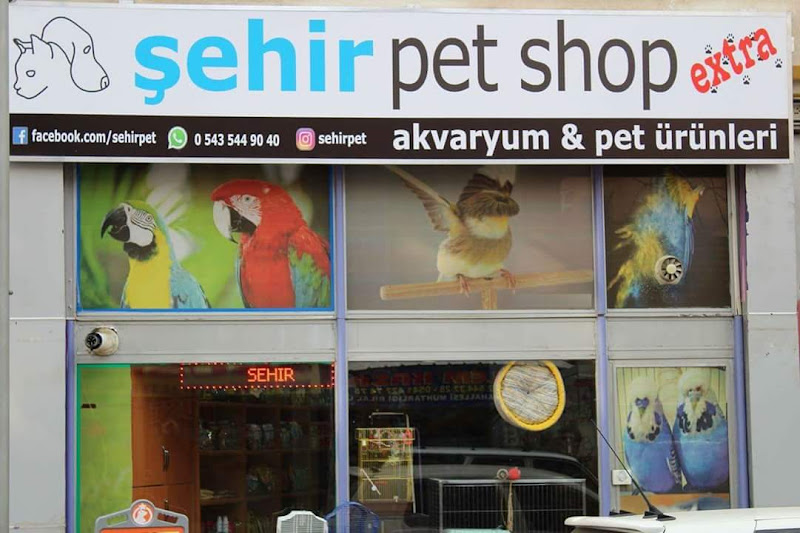 Şehir Petshop Akvaryum