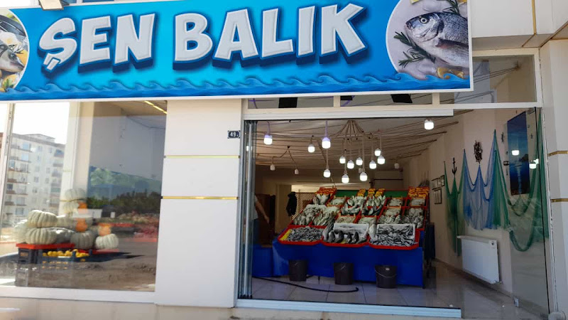 ŞEN BALIK