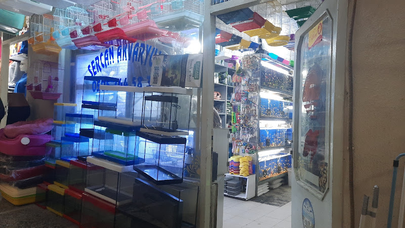 Sercan Akvaryum