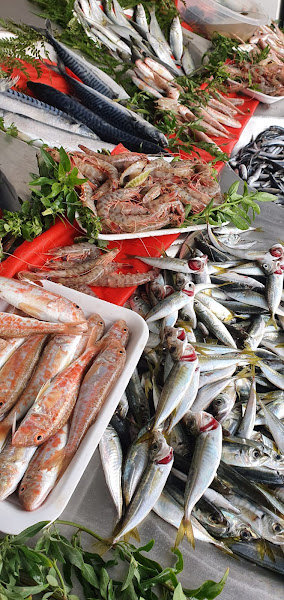Serhat Balıkçılık Sagisaryus Balık-Meze Market