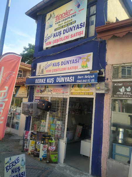 Show Akvaryum