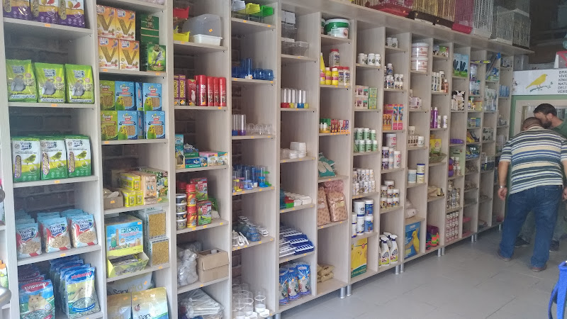 SHOW Pet Shop