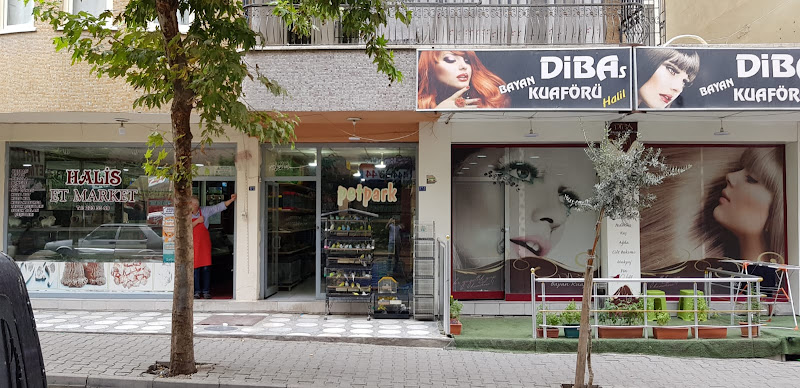 Sihirli Kanatlar Petshop