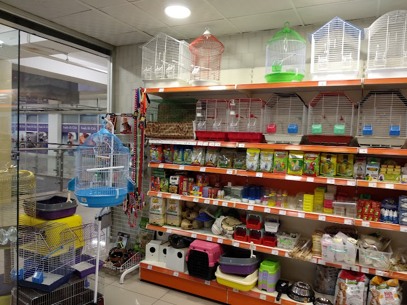 Siirt Afacan Petshop akvaryum Anderapark AVM