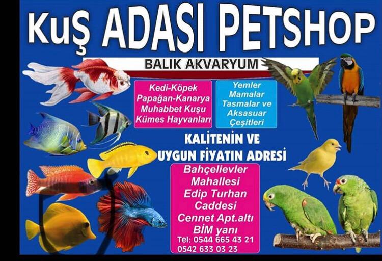 Siirt Kuş Adası Petshop