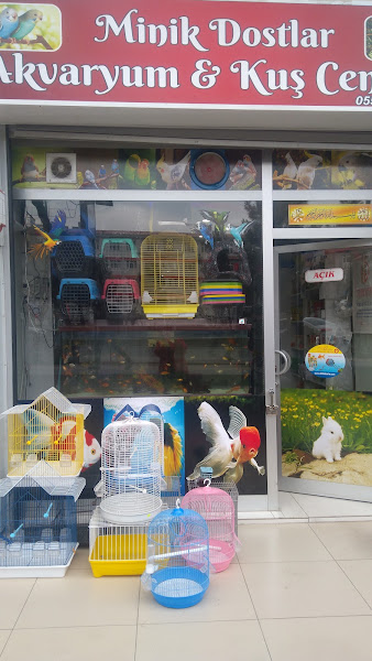 ŞİLA & MİNİK DOSTLAR DİYARBAKİR PET SHOP AKVARYUM