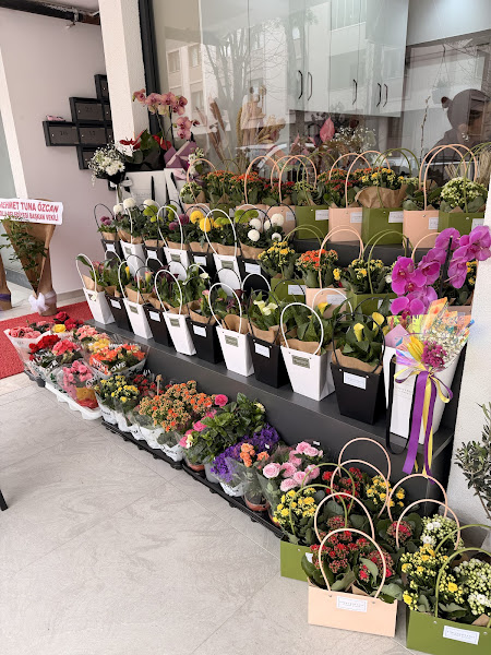 SimayBotanic