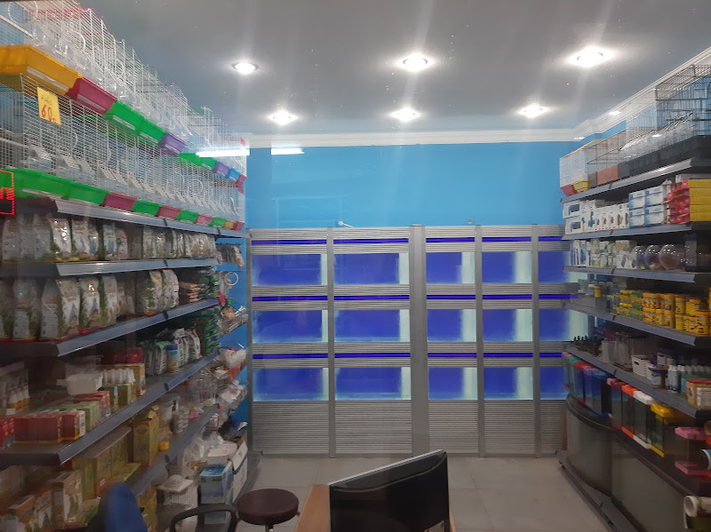 Sinop Muhabbet Cennet Kuş Evi