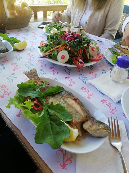Sipahiler Köroğlu Alabalık Tesisi