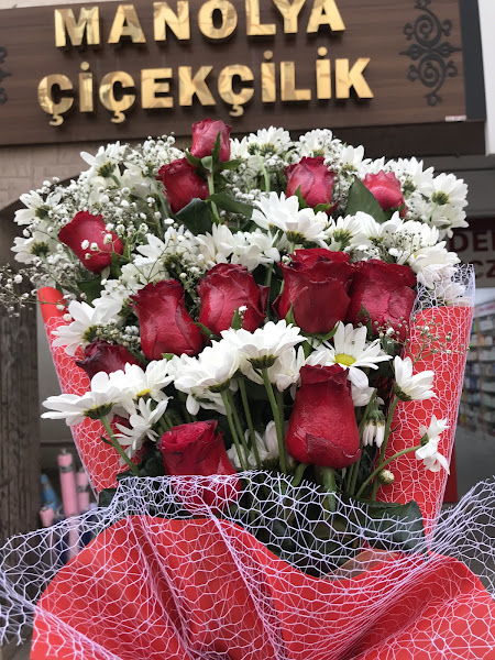 ŞIRNAK ÇİÇEKÇİLİK Manolya