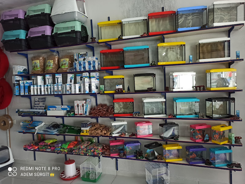 Şırnak petshop