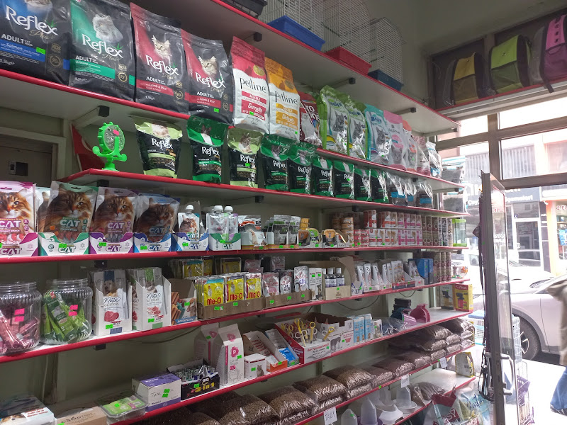 Sivas Petshop Yiğido Petshop
