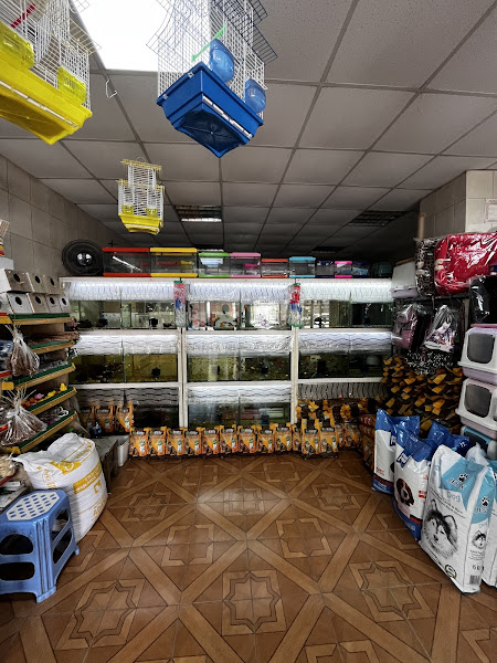 Söğüt Pet Shop