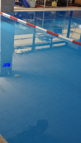 Swimmge