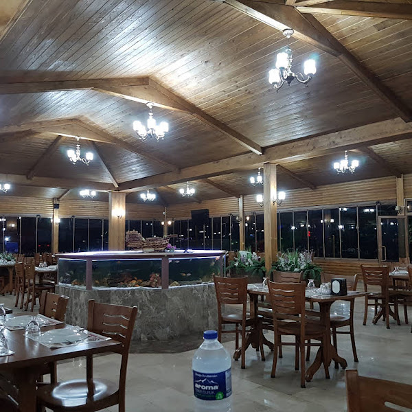 Tadım 2 Canlı Alabalık