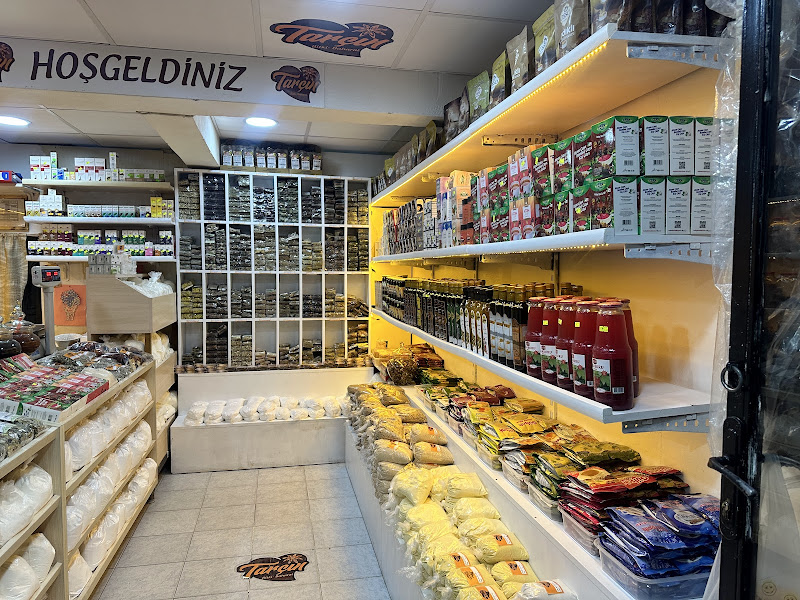 TARÇIN BİTKİ BAHARAT