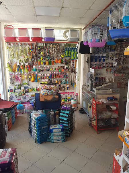 taşdemir petshop