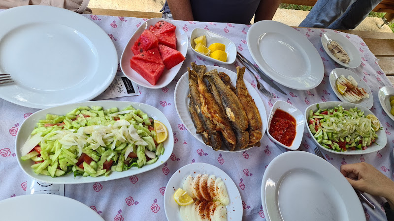 Taşkın Alabalık