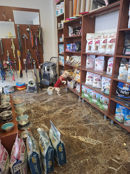 Tekirdağ Kedi Köpek Oteli & Köpek Eğitimi - Sultan Pet Shop