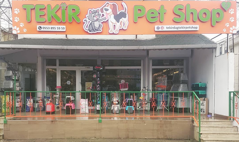 tekirdağ tekir petshop 2