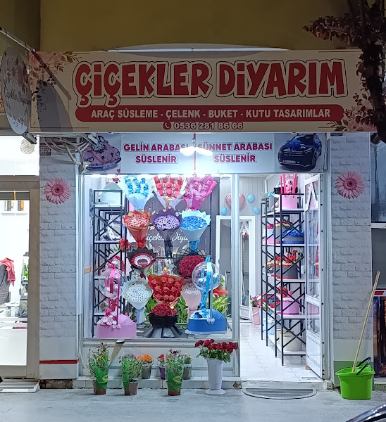 TOKAT ÇİÇEKLER DİYARIM