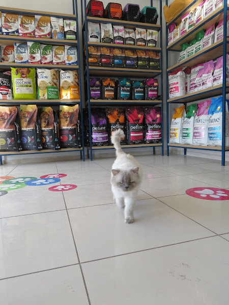 Tokat Orthopati Veteriner Kliniği